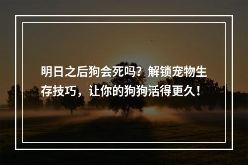 明日之后狗会死吗？解锁宠物生存技巧，让你的狗狗活得更久！