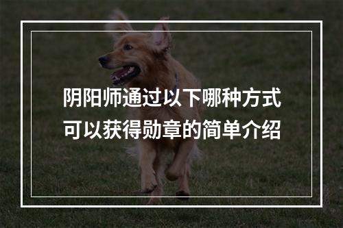 阴阳师通过以下哪种方式可以获得勋章的简单介绍