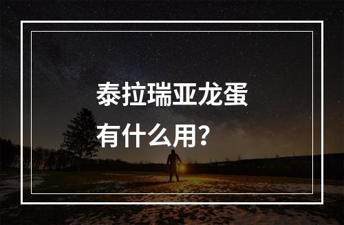 泰拉瑞亚龙蛋有什么用？