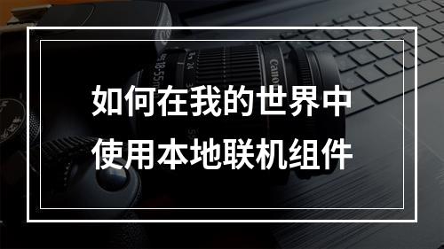 如何在我的世界中使用本地联机组件