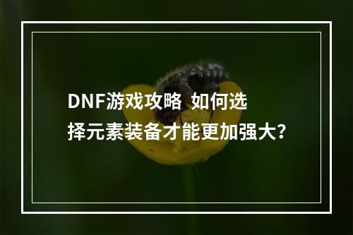 DNF游戏攻略  如何选择元素装备才能更加强大？