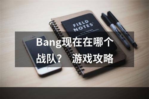 Bang现在在哪个战队？  游戏攻略