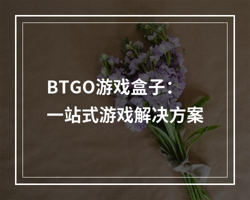 BTGO游戏盒子：一站式游戏解决方案