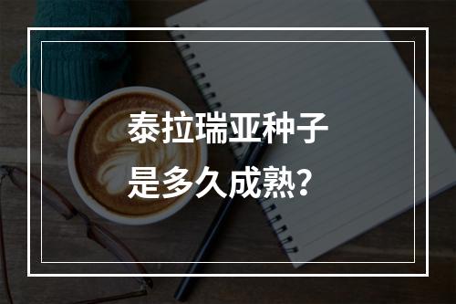 泰拉瑞亚种子是多久成熟？