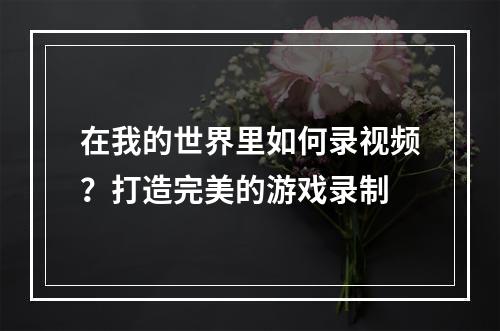 在我的世界里如何录视频？打造完美的游戏录制