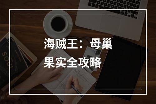 海贼王：母巢果实全攻略