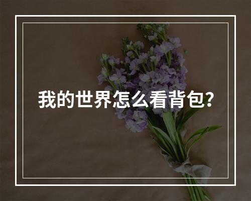 我的世界怎么看背包？