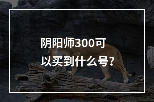 阴阳师300可以买到什么号？