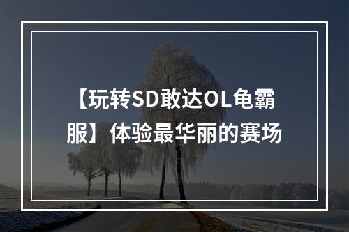 【玩转SD敢达OL龟霸服】体验最华丽的赛场