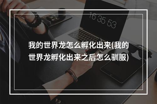 我的世界龙怎么孵化出来(我的世界龙孵化出来之后怎么驯服)