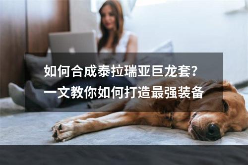 如何合成泰拉瑞亚巨龙套？一文教你如何打造最强装备