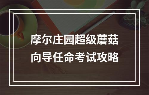 摩尔庄园超级蘑菇向导任命考试攻略