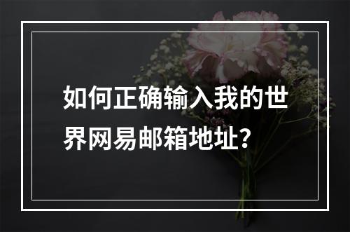 如何正确输入我的世界网易邮箱地址？