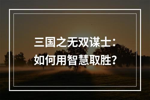 三国之无双谋士：如何用智慧取胜？