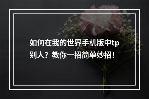 如何在我的世界手机版中tp别人？教你一招简单妙招！