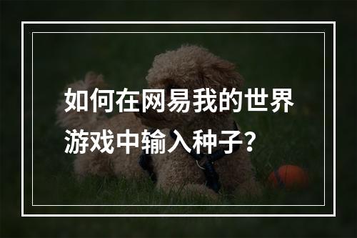 如何在网易我的世界游戏中输入种子？