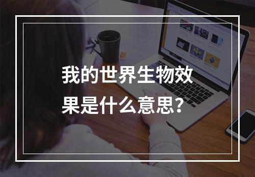 我的世界生物效果是什么意思？