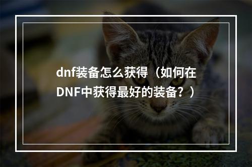 dnf装备怎么获得（如何在DNF中获得最好的装备？）