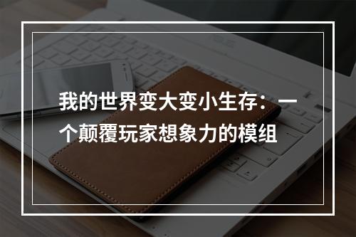 我的世界变大变小生存：一个颠覆玩家想象力的模组