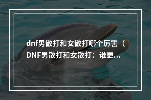 dnf男散打和女散打哪个厉害（DNF男散打和女散打：谁更厉害？）