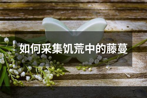 如何采集饥荒中的藤蔓