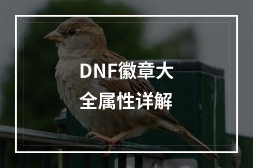 DNF徽章大全属性详解