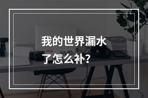 我的世界漏水了怎么补？