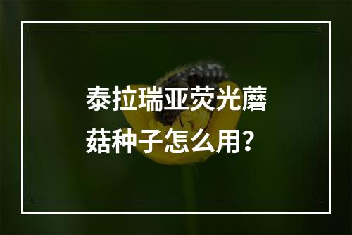 泰拉瑞亚荧光蘑菇种子怎么用？