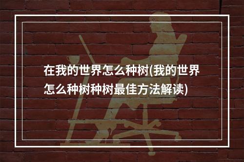 在我的世界怎么种树(我的世界怎么种树种树最佳方法解读)