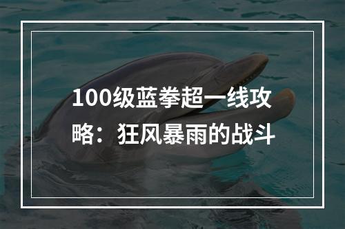 100级蓝拳超一线攻略：狂风暴雨的战斗