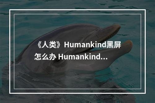 《人类》Humankind黑屏怎么办 Humankind黑屏解决方法介绍--游戏攻略网