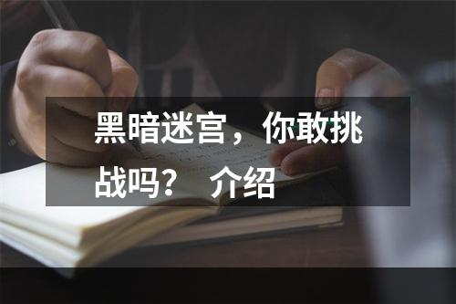 黑暗迷宫，你敢挑战吗？  介绍