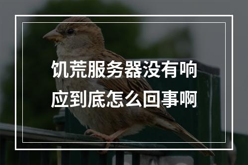 饥荒服务器没有响应到底怎么回事啊