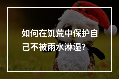 如何在饥荒中保护自己不被雨水淋湿？