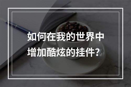 如何在我的世界中增加酷炫的挂件？