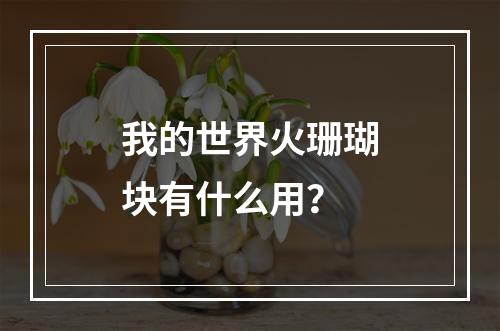 我的世界火珊瑚块有什么用？