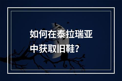 如何在泰拉瑞亚中获取旧鞋？