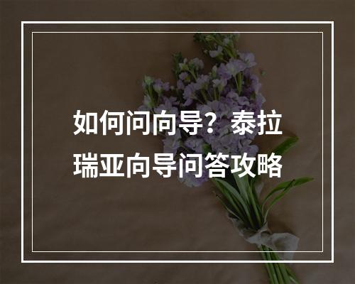 如何问向导？泰拉瑞亚向导问答攻略