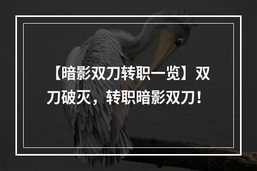 【暗影双刀转职一览】双刀破灭，转职暗影双刀！