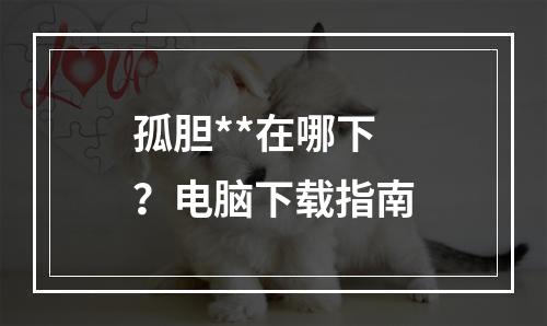 孤胆**在哪下？电脑下载指南