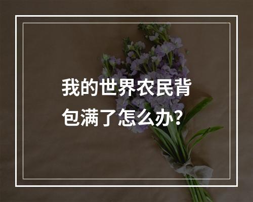 我的世界农民背包满了怎么办？