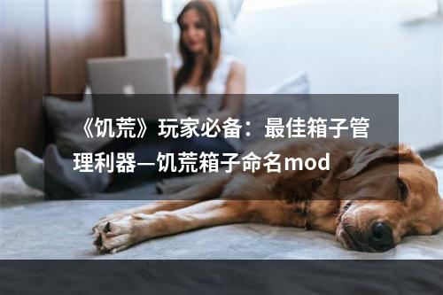 《饥荒》玩家必备：最佳箱子管理利器—饥荒箱子命名mod