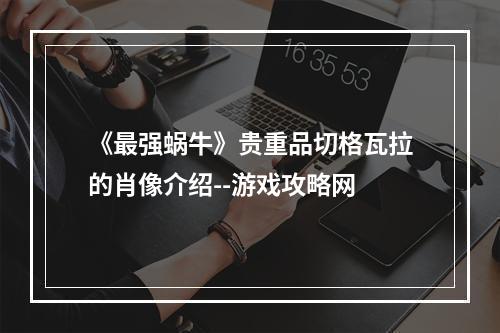 《最强蜗牛》贵重品切格瓦拉的肖像介绍--游戏攻略网