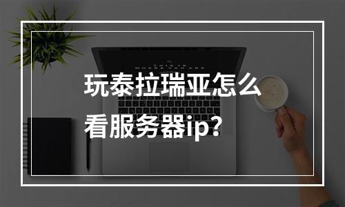 玩泰拉瑞亚怎么看服务器ip？