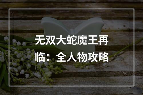 无双大蛇魔王再临：全人物攻略