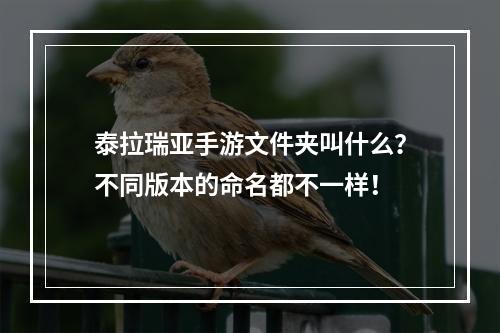 泰拉瑞亚手游文件夹叫什么？不同版本的命名都不一样！