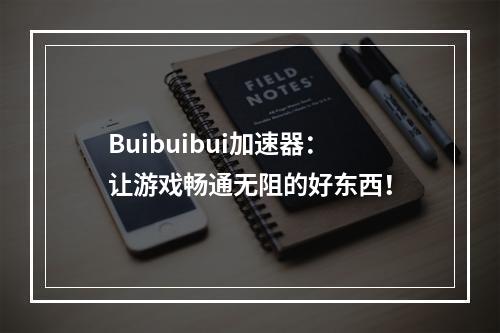 Buibuibui加速器：让游戏畅通无阻的好东西！