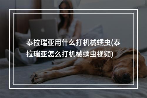 泰拉瑞亚用什么打机械蠕虫(泰拉瑞亚怎么打机械蠕虫视频)