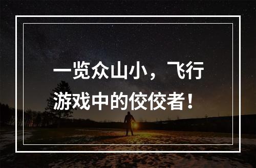 一览众山小，飞行游戏中的佼佼者！