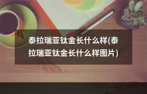 泰拉瑞亚钛金长什么样(泰拉瑞亚钛金长什么样图片)